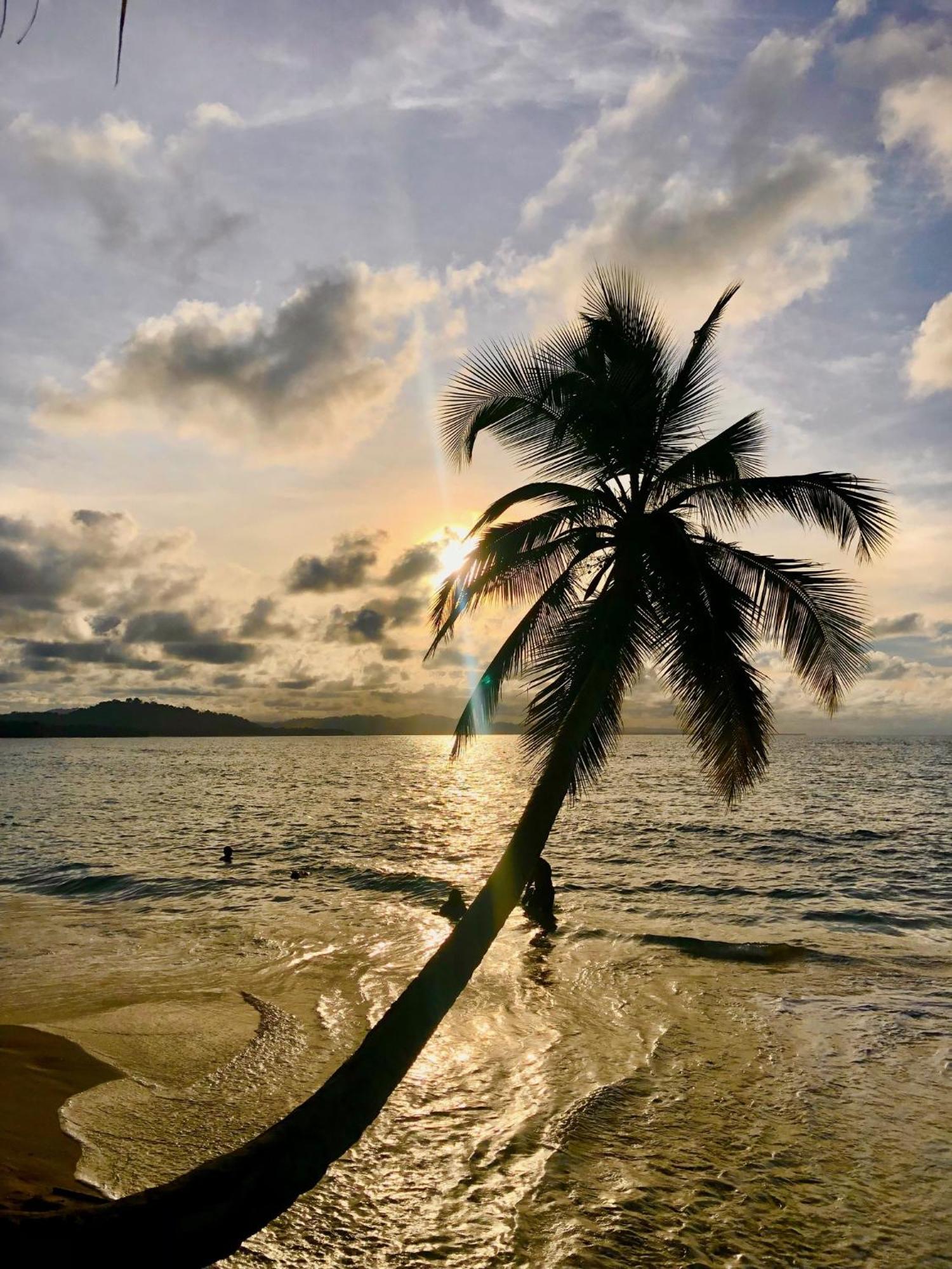 Cabinas Ole Caribe Puerto Viejo de Talamanca Exterior foto