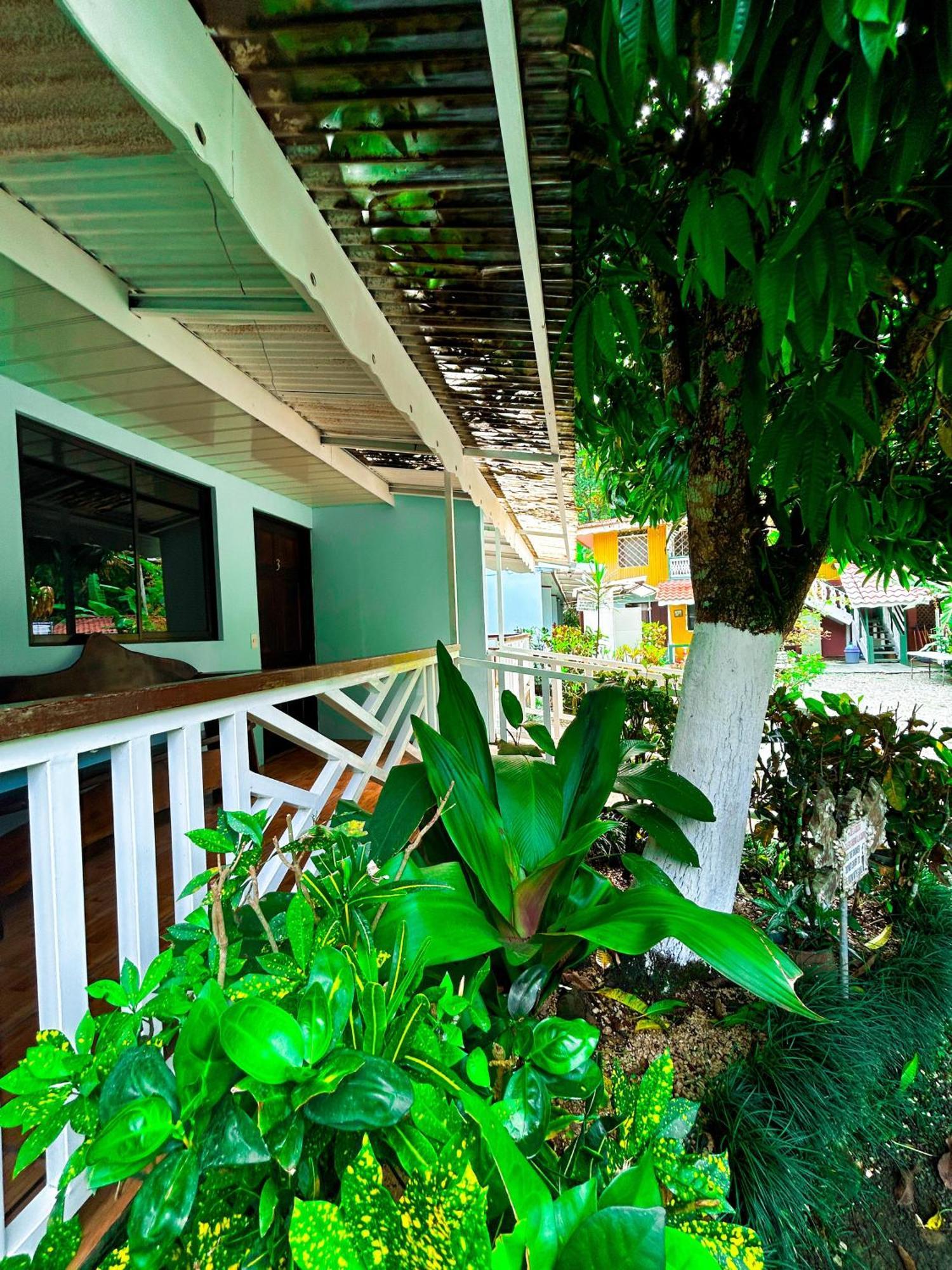 Cabinas Ole Caribe Puerto Viejo de Talamanca Exterior foto
